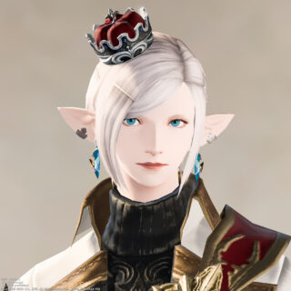 プリンセスデー22 Ff14 装備手帳