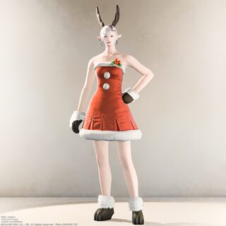 ffxiv_20231121_132658_949-