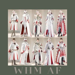 ff14 コレクション 白魔導士 60 スカート