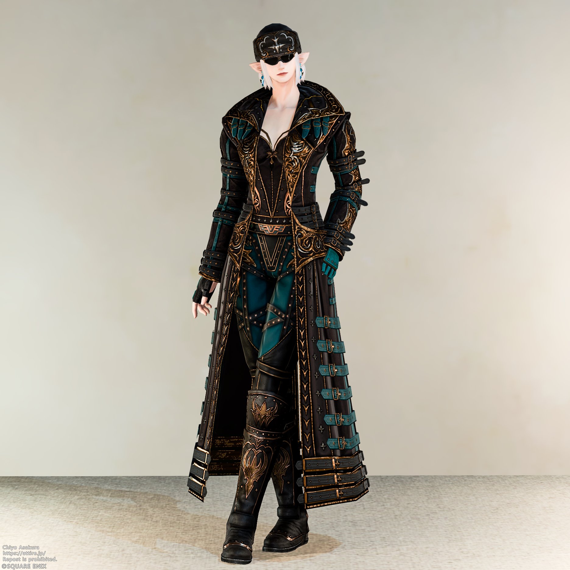 ダークホースチャンピオン・ディフェンダーコート