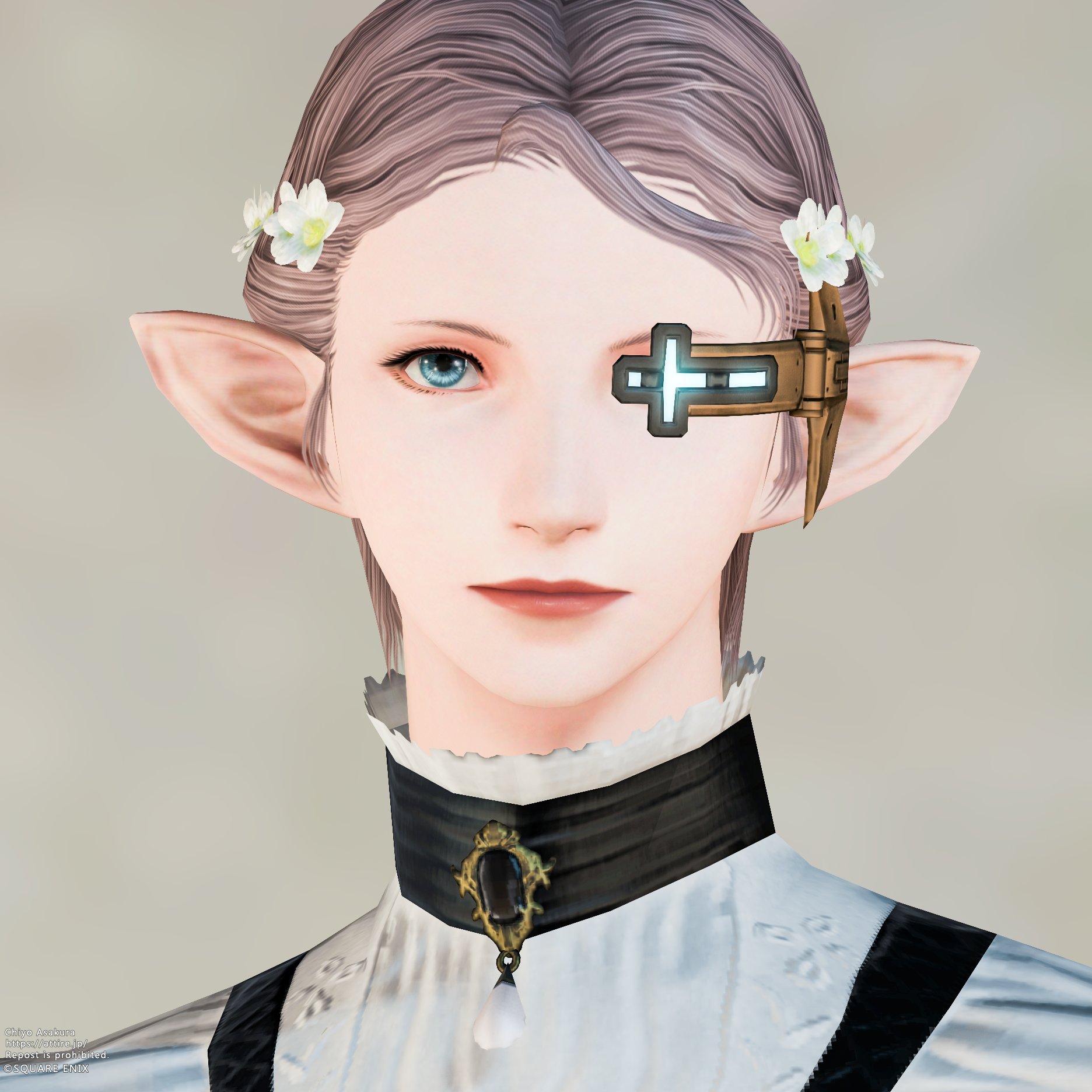 スタイルカタログ:スカエウァ・ヘッドギア（フェイスアクセサリー）