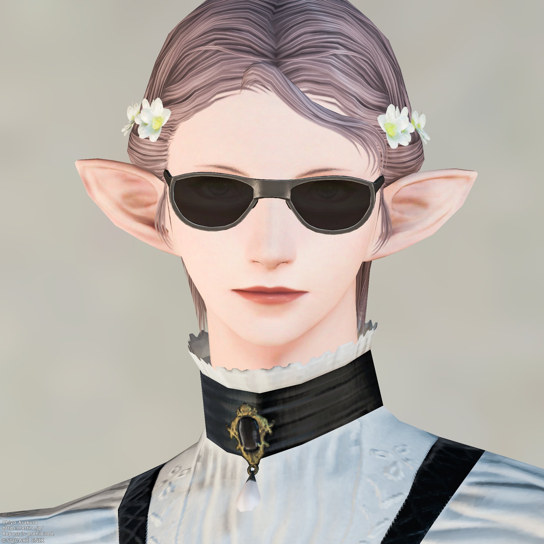 スタイルカタログ:ノワールグラス（フェイスアクセサリー）